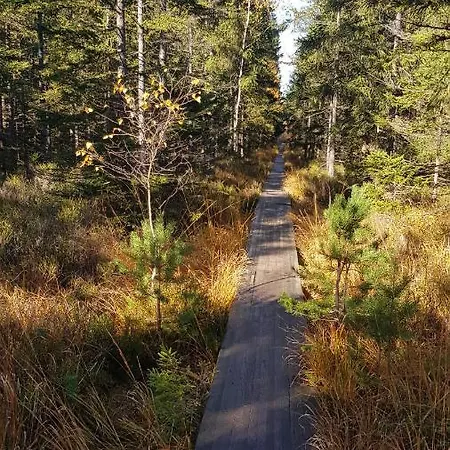 Morze Gór Duszniki Zdrój