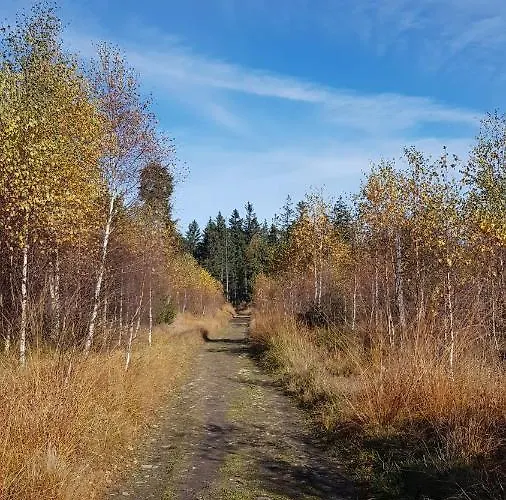 Morze Gor Duszniki Zdrój
